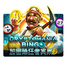 ทดลองเล่นสล็อต JOKER123 Cryptomania Bingo