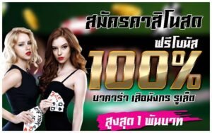 Read more about the article โปรโมชั่นบาคาร่า บาคาร่าออนไลน์ แจกเครดิตฟรี  REBELBET168